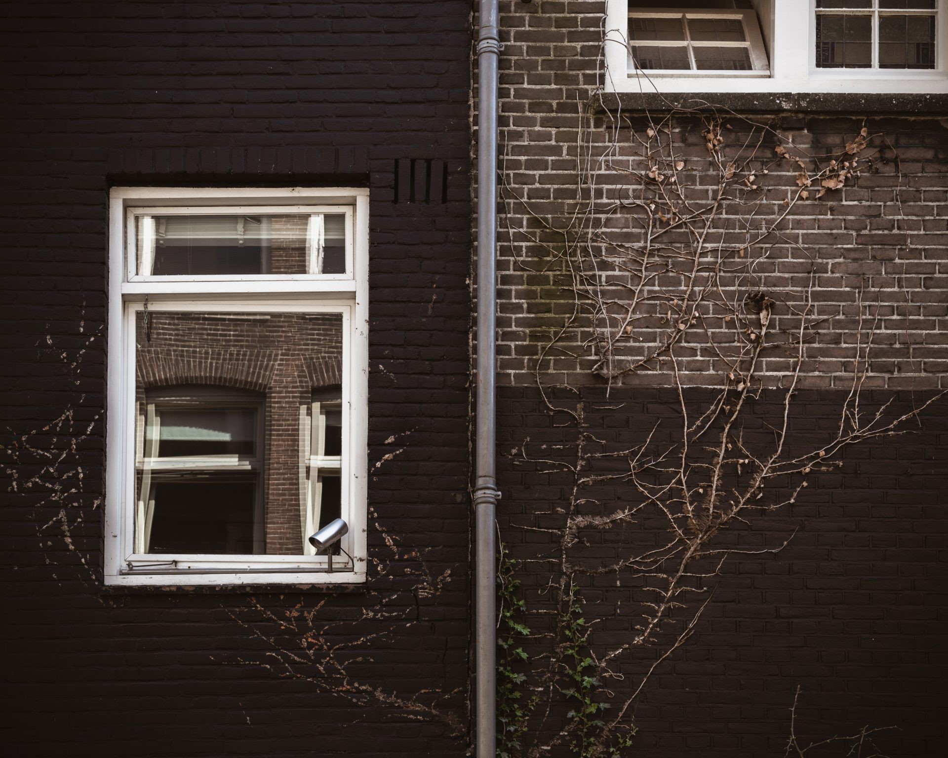 Homeowner's insurance explained