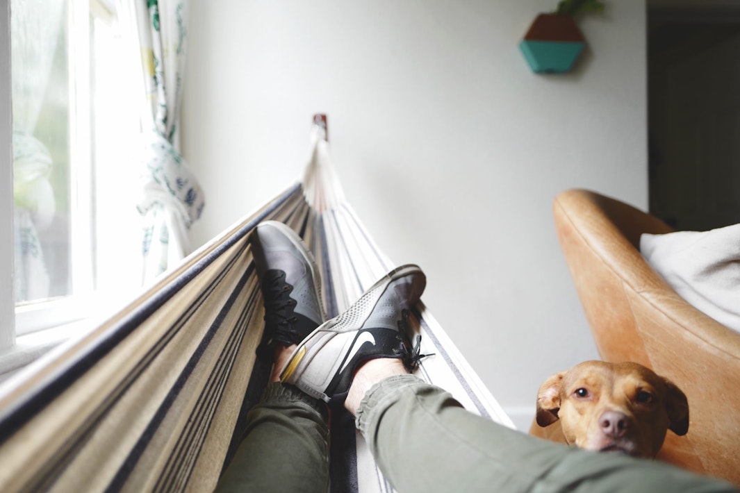 laying in a hammock